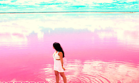 Tours a las Coloradas y Rio Lagarto