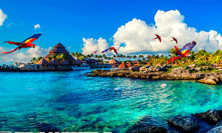 Tours a Xcaret Plus desde Cancun